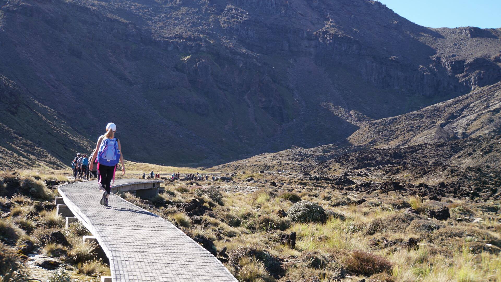 17858956_10154539181000003_1188350278_o